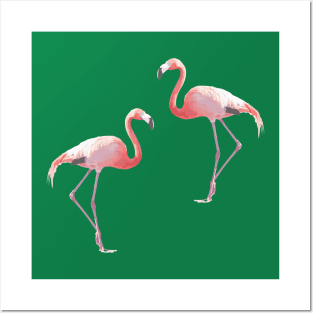 Flamingo #3 Posters and Art